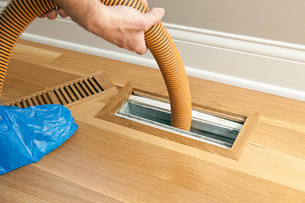 Best Air Duct Cleaning Near Me  in Black Diamond, FL